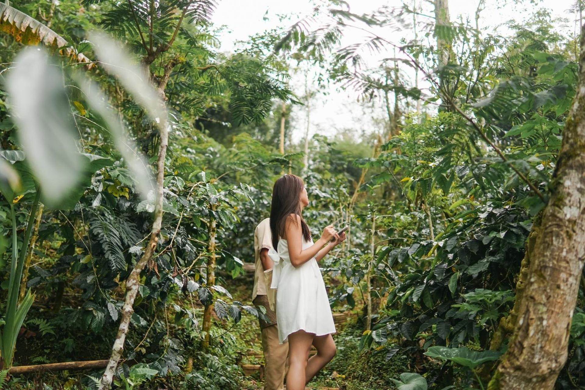 Moding Plantation Nature Resort